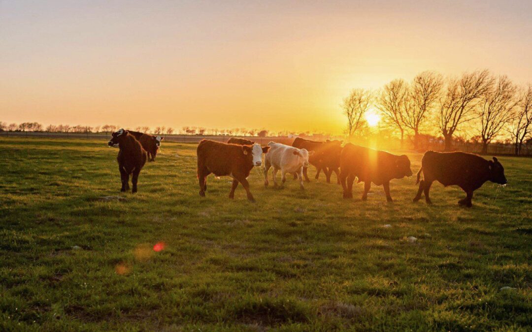 Why a Veteran-Owned Freeze-Dried Beef Company Unabashedly Embraces an America First Worldview