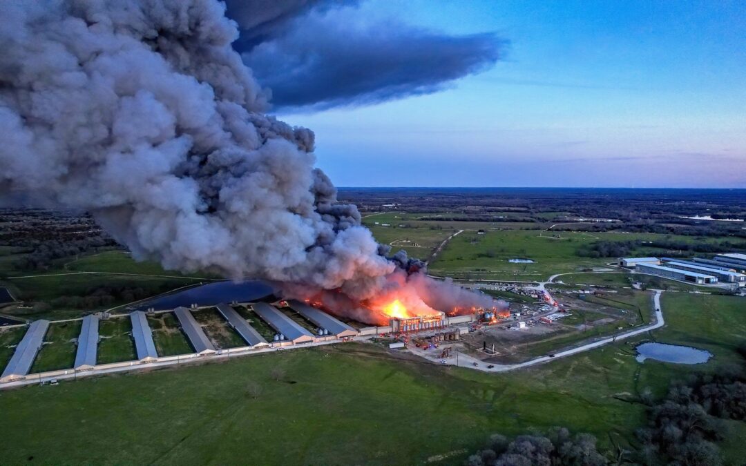 Massive Fire Engulfs Feather Crest Farm Chicken Plant in Texas, Reportedly Following Large Explosion (VIDEO)