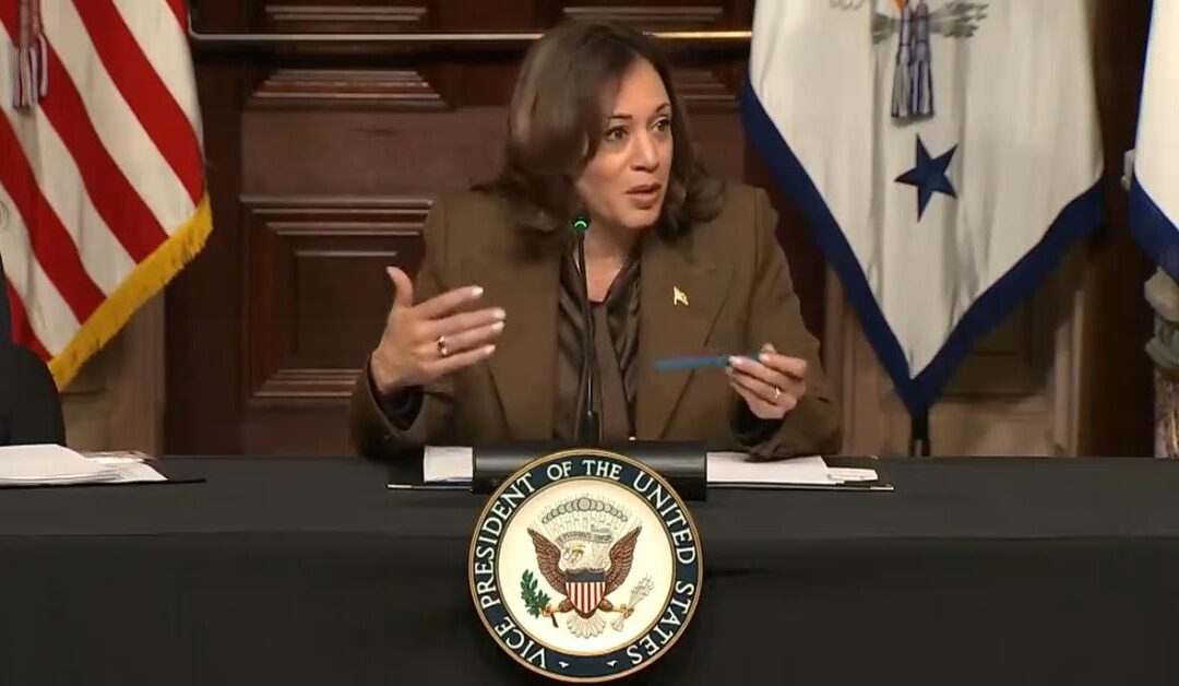 Kamala Harris Announces Biden Regime will “Now Allow Students to Get Paid Through Federal Work Study to Register People” to Vote (VIDEO)