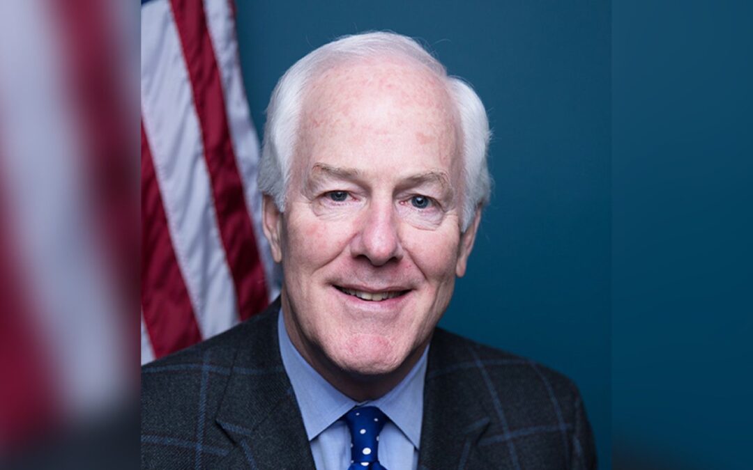 BREAKING: Texas RINO John Cornyn Declares His Candidacy to Succeed Mitch McConnell as GOP Senate Leader