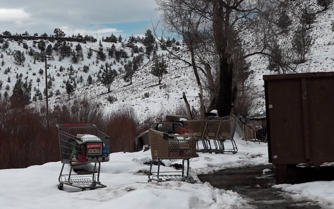 City of Madras, Oregon Proposes Fining Grocery Stores for Carts Stolen and Found Near Homeless Camps (VIDEO)