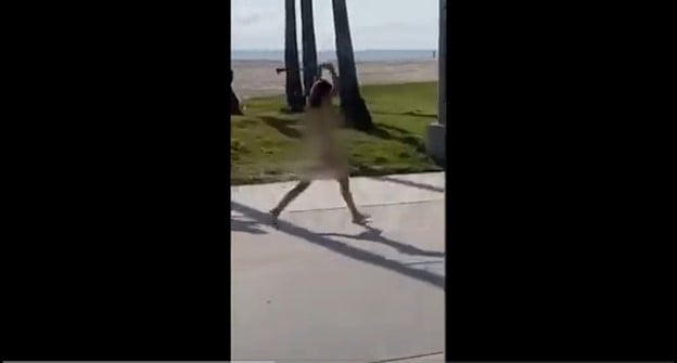 Welcome to California: Crazy Naked Woman Goes on Violent Rampage in Wealthy LA Neighborhood in Broad Daylight (Video)