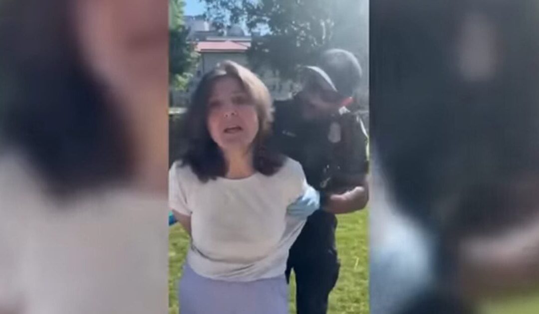 Oops: Emory University Professor Admits to Hitting Police Officer Before She Was Arrested (Video)