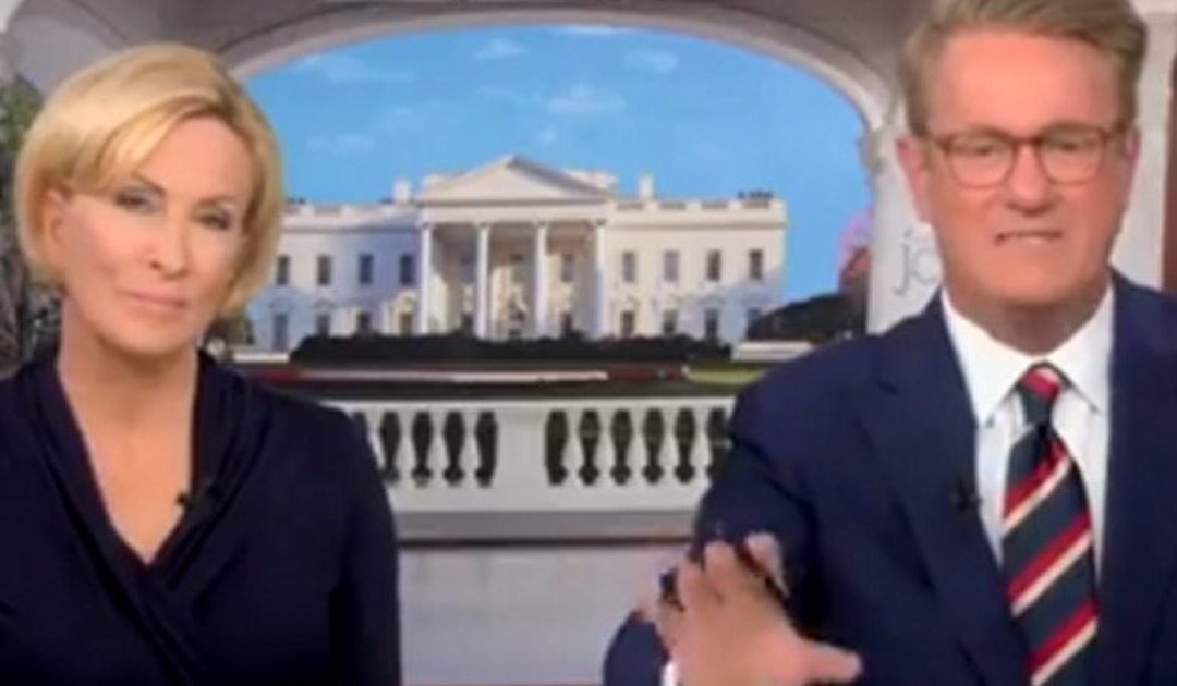 Joe Scarborough and Mika Panicked That Pro-Hamas College Campus Protests Will Get Trump Elected (VIDEO)