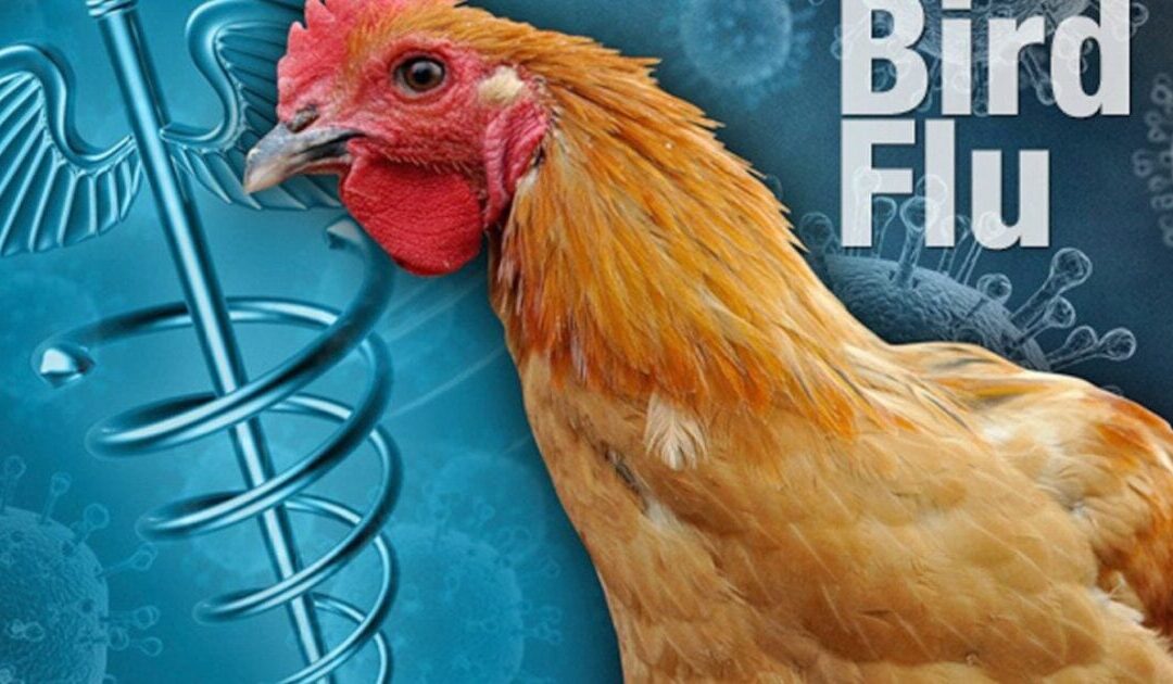 Here We Go: Michigan Confirms First Human Case of High-Risk Bird Flu, Marking Second U.S. Case This Year