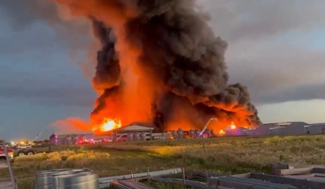 Millions of Chickens Killed in 5-Alarm Fire at Farina Farms Inc. in Illinois, One of Nation’s Largest Free-Range Egg Facilities (VIDEO)