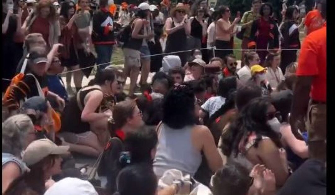 Marxist Student Thugs and Pro-Gaza Goons Disrupt Princeton Memorial Day Parade and Block the Road – After Spotting American Flags Coming Toward Them