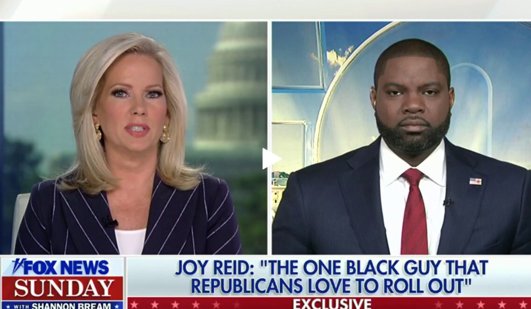 MSNBC’s Joy Reid Calls Rep. Byron Donalds a MAGA Prop ‘Black Guy’- Donalds Fires Back (Video)