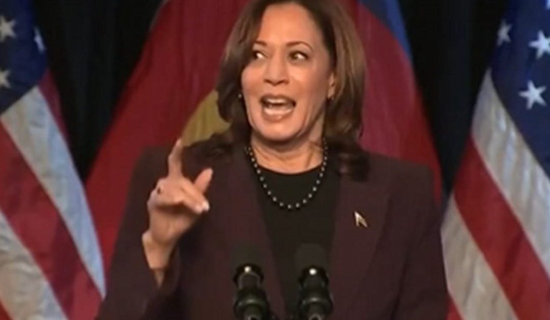 ‘Just Say The N-Word’: Leftists Melt Down After New York Post Warns Kamala Harris Would Be a ‘DEI President’