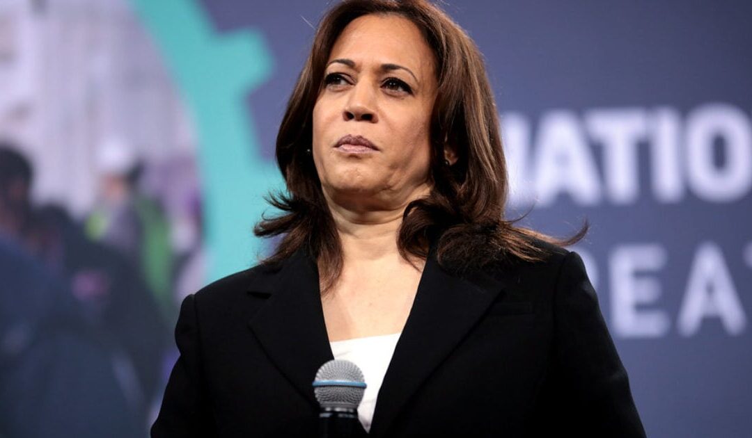 Fact Check: Harris Campaign Admits It Lied About Trump