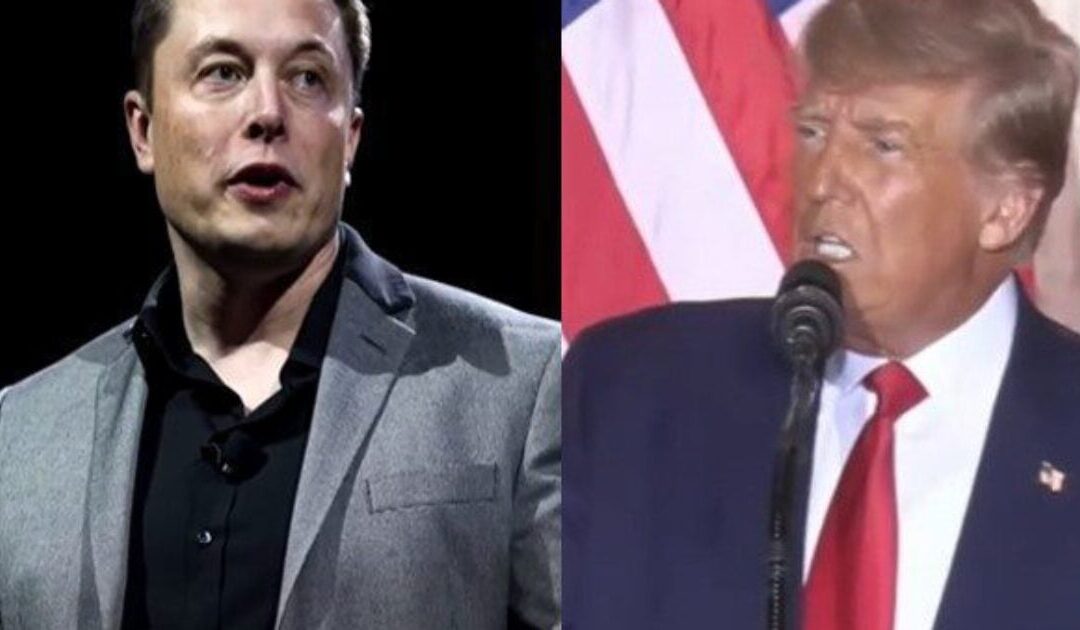 BREAKING: “Last time America had a candidate this tough was Theodore Roosevelt” – Elon Musk Endorses Trump Immediately After Assassination Attempt