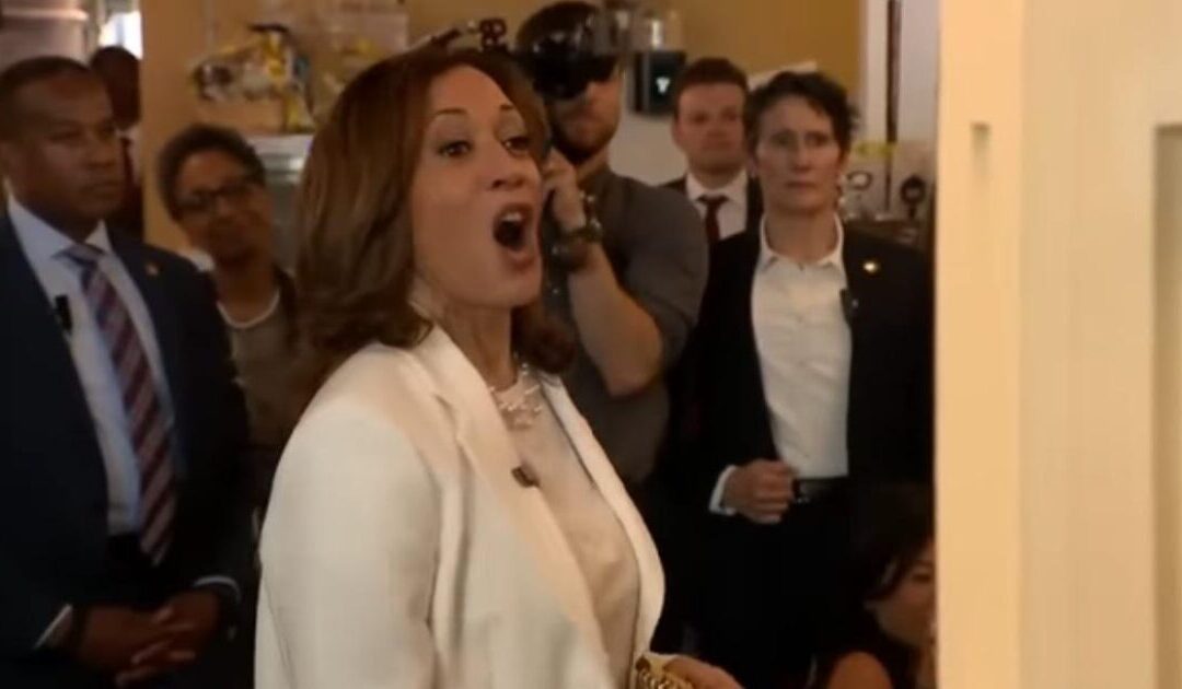 THE CRINGE: Kamala Harris Uses Fake Accent During Visit to Black-Owned Café in Savannah (VIDEO)