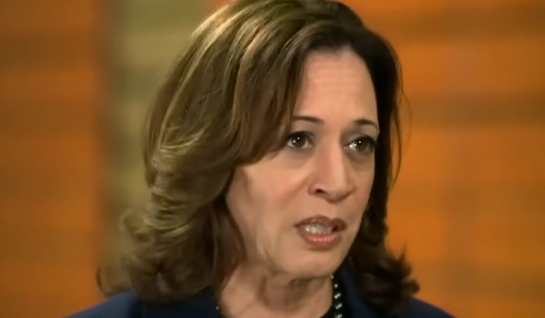 Kamala Harris’ McDonald’s Story Called Into Question as Details Don’t Seem to Add Up