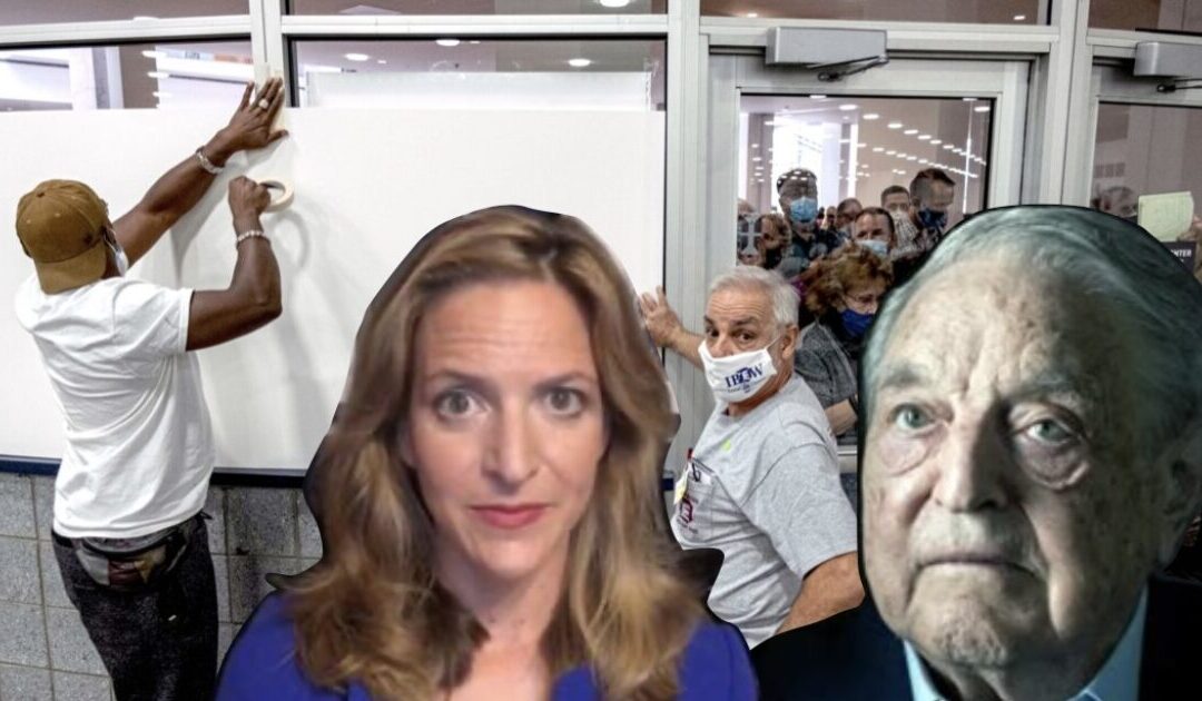 MI Senator OBLITERATES Soros-Backed SOS Jocelyn Benson After She Loses EIGHTH Election-Related Lawsuit [VIDEO]