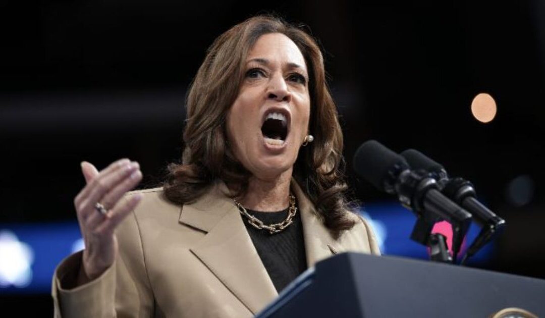 The Situation Within Kamala Harris’ ‘Frankenstein’ Campaign Is Not as Rosy as it May Seem: Report