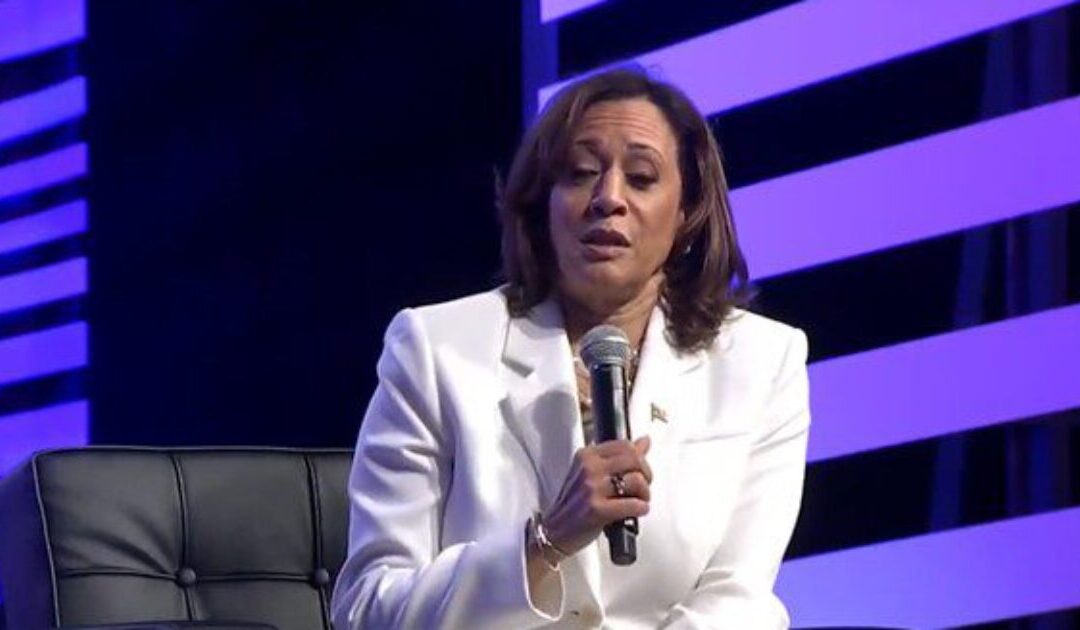 Majority of Democratic Voters Clueless About Kamala Harris’ Radical Positions: Poll