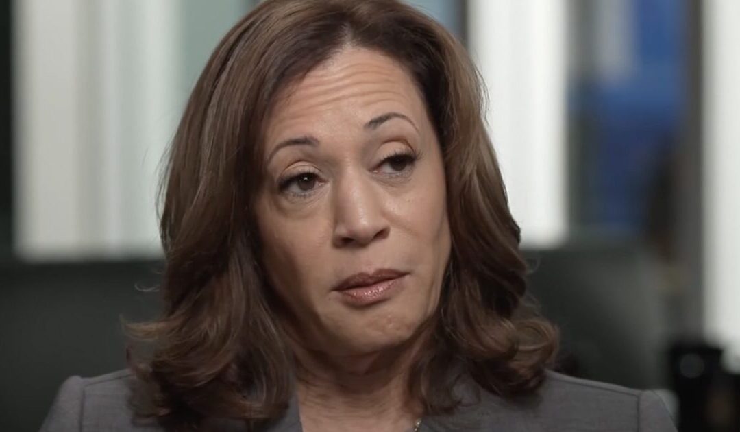 Kamala Stumbles in CNN Interview — Bumblehead Blurts Out Word Salad Nonsense in Safe Zone Interview (VIDEO)