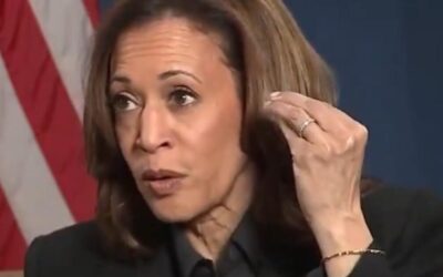 “I Grew Up in a Neighborhood of Folks Who Were Very Proud of Their Lawn, Ya Know?” – Kamala Harris When Asked to Detail Her Plan to Bring Down Prices (VIDEO)