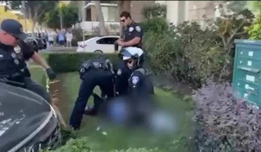 HERO: Loving Father Stabs Crazed Man to Death After Thug Attacks Him and His Young Child in Beverly Hills (VIDEO)