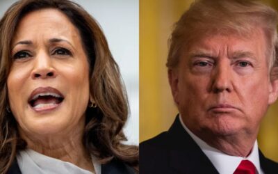 Kamala Campaign Privately Admit They Are ‘Clear Underdogs,’ Trump Support at Highest Since 2020