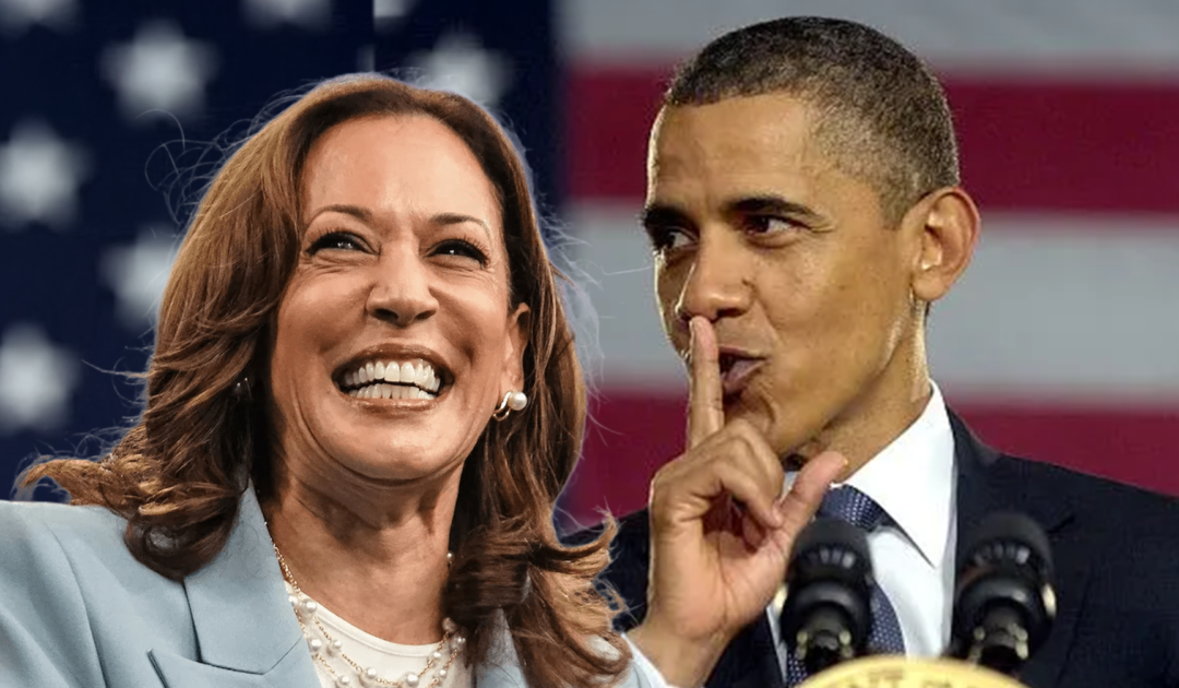 Obama’s SECRET Celebrity FUELED Plan to Steal the 2024 Election REVEALED | Elijah Schaffer’s Top 5 (VIDEO)