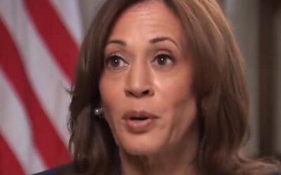 Wisconsin Reporter Puts Kamala Harris in the Hot Seat, Spars with Her Over High Grocery Prices, Asks Why She Hasn’t Already Done What She’s Proposing (VIDEO)