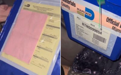 Box of Ballots Found on Florida Turnpike After Reportedly Falling Off a Truck — Election Worker Fired