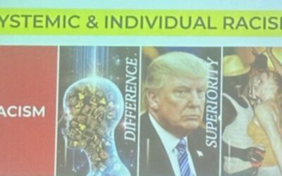 ELECTION INTERFERENCE: Mandatory Anti-Racism Training at University of Arizona Portrays Trump as Embodiment of Racial “Superiority”