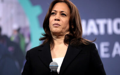 Nevada Election Expert Says Kamala Harris in ‘Serious Danger,’ Democrats Are ‘Bedwetting in Epic Proportions’