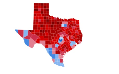 Dallas County Elections Publishes Official “Die-Cut” Mail-In Ballots to County Website – Complete with Signature Endorsement!