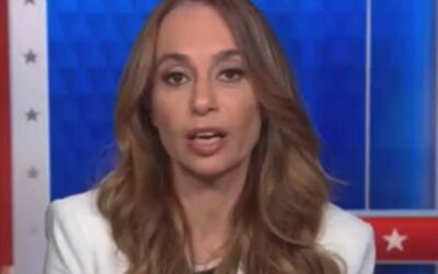 BRUTAL: CNN Hosts Absolutely Silent as Democrat Strategist Delivers Some ‘Hard Truths’ to Her Party (VIDEO)