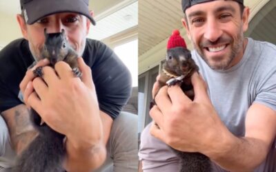 At Least 10 Democrat NY State Authorities Raid Home of Caretaker Who Raised Orphaned Squirrel Since Birth — Beloved Social Media Star ‘Peanut’ Seized and Tragically Euthanized: “Officers Raided my House as if I was a Drug Dealer”