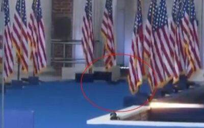 P’nut The Squirrel’s Spirit Lives On: Squirrel Spotted Running Across The Stage Before Kamala Harris Concession Speech (VIDEO)