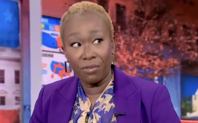 And the Meltdown Begins: Dangerous MSNBC Wacko Joy Reid Calls Florida an “Extreme Right-Wing Fascist State” and Attacks Half of the Country for Supporting Trump