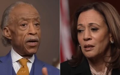 Kamala Harris Campaign Funneled $500K to Al Sharpton’s Nonprofit Just Weeks Before Softball Interview with Race Grifter MSNBC Host: Report