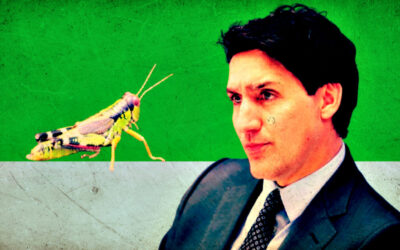 Globalist Trudeau Went All in With Feeding Insects to Canadians – Embattled Prime Minister Blew $9 Million in Failed Edible Cricket Factory