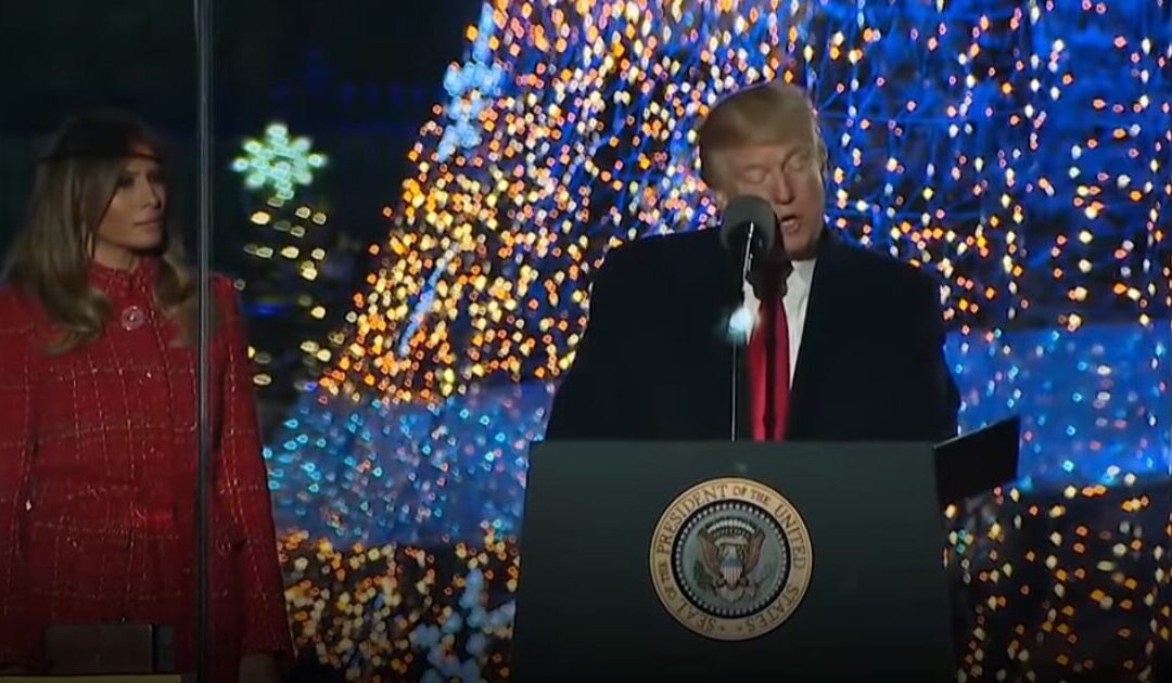 Making Christmas Great Again: Trump Supporters Poised to Spend More on Holiday Shopping, While Harris Voters Cut Back