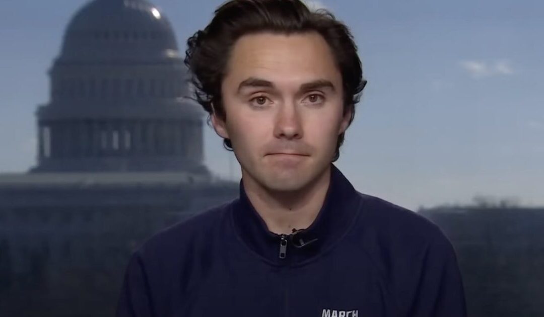 Gun-Grabbing Activist David Hogg Running for Vice Chair of the Democratic National Committee