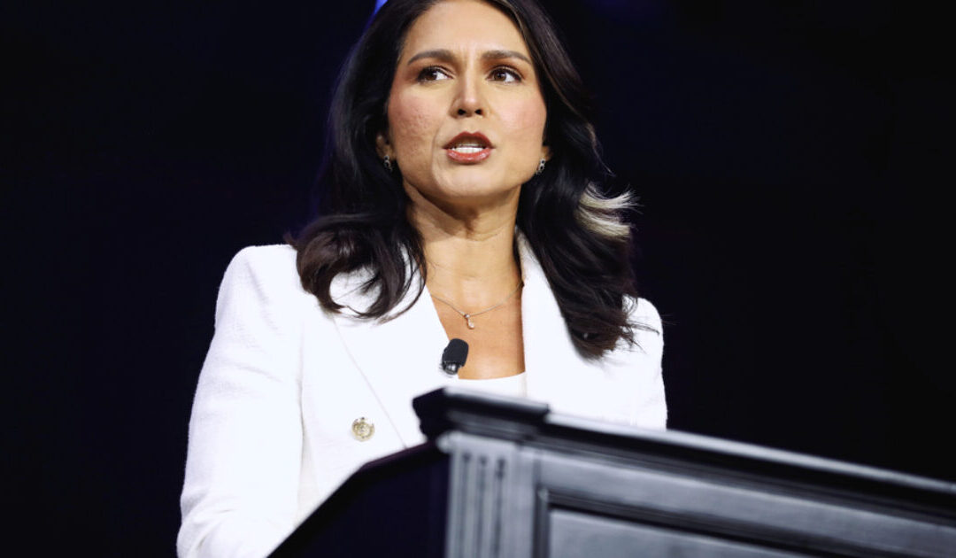 Senate Intel Panel Reportedly Considering HIDING Their Votes on Tulsi Gabbard from the American People Following News of Susan Collins’s Possible Opposition to Gabbard