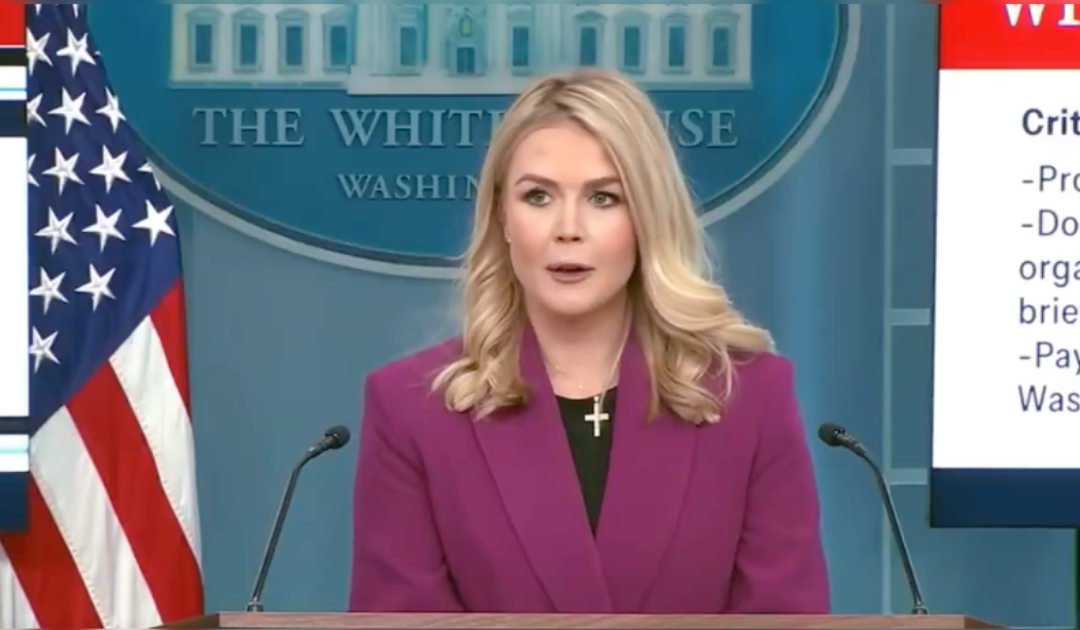 White House Press Secretary Karoline Leavitt Reveals Drones Flying Over New Jersey Were Authorized by Biden Admin for “Research and Various Other Purposes”