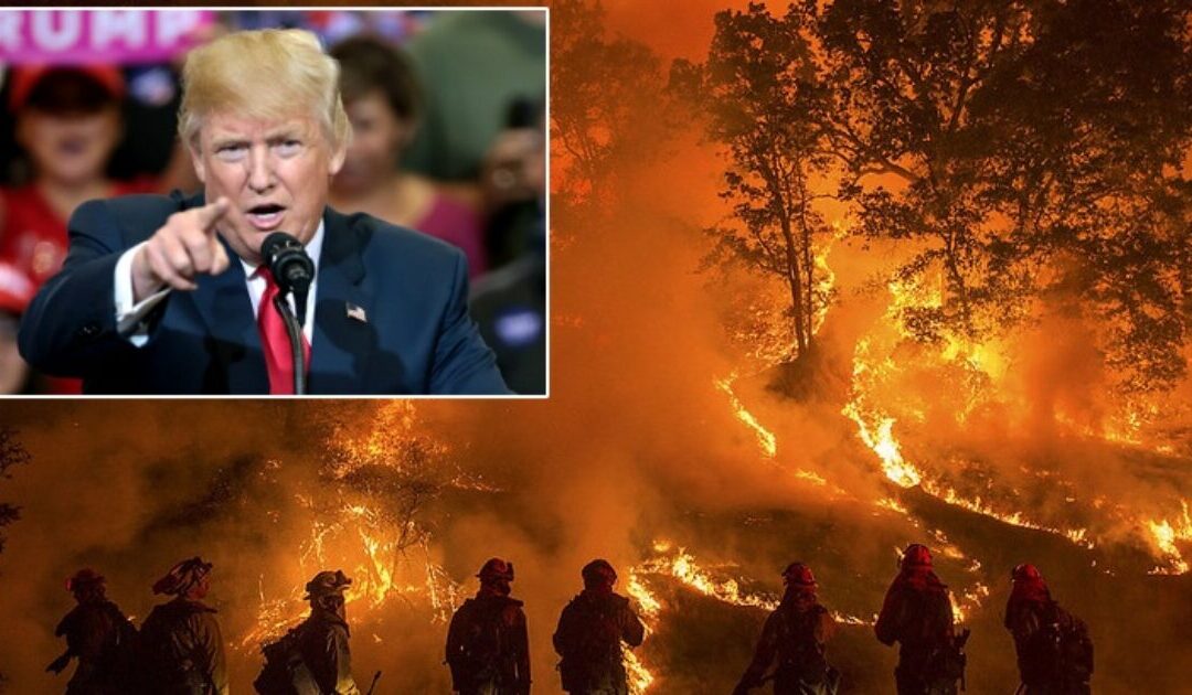 BREAKING: Trump Uses Emergency Powers to Send U.S. Military into California and Provide Water: “The Days of Putting a Fake Environmental Argument, over the PEOPLE, are OVER.”