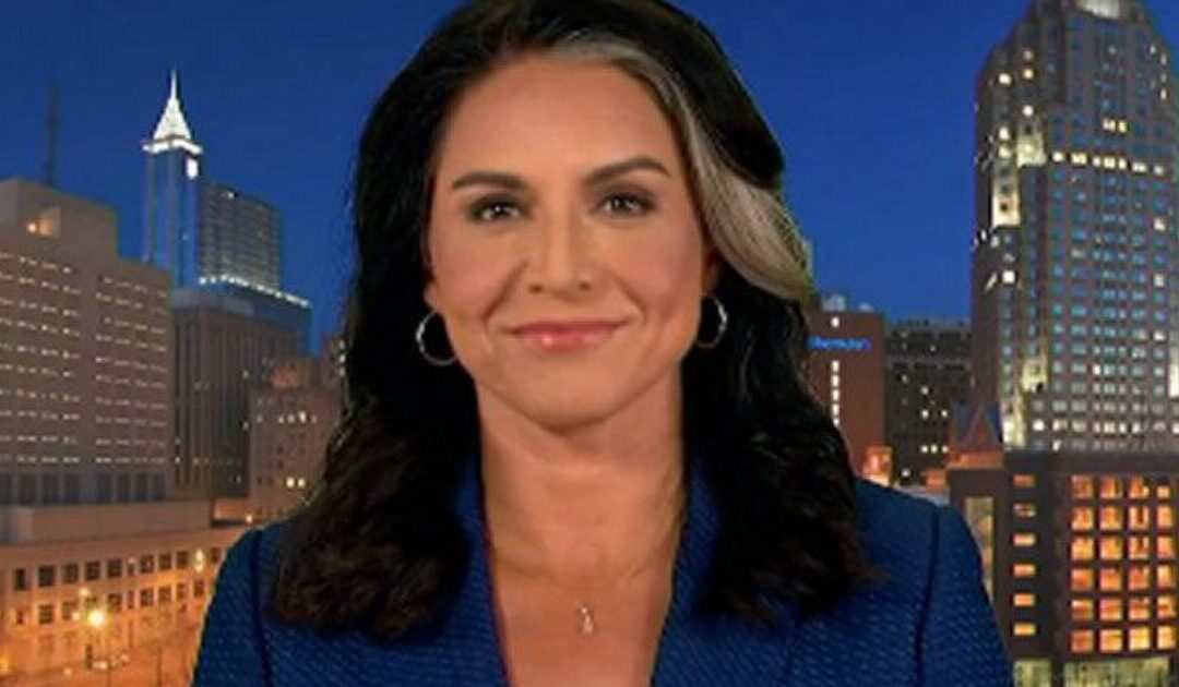 NEW: Tulsi Gabbard to Fire Transgender Extremists and Sexual Deviants Who Participated in NSA’s Secret Sex Kink Chatrooms