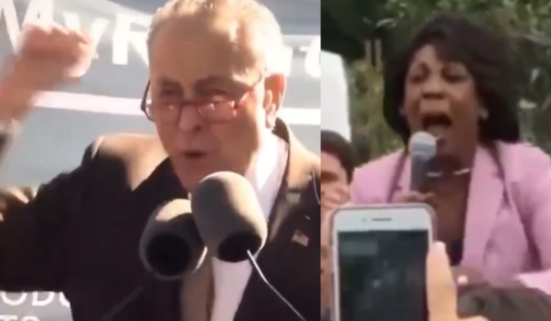 Focus Group Reveals Democrat Anti-Trump Antics Are Turning Off Independent Voters