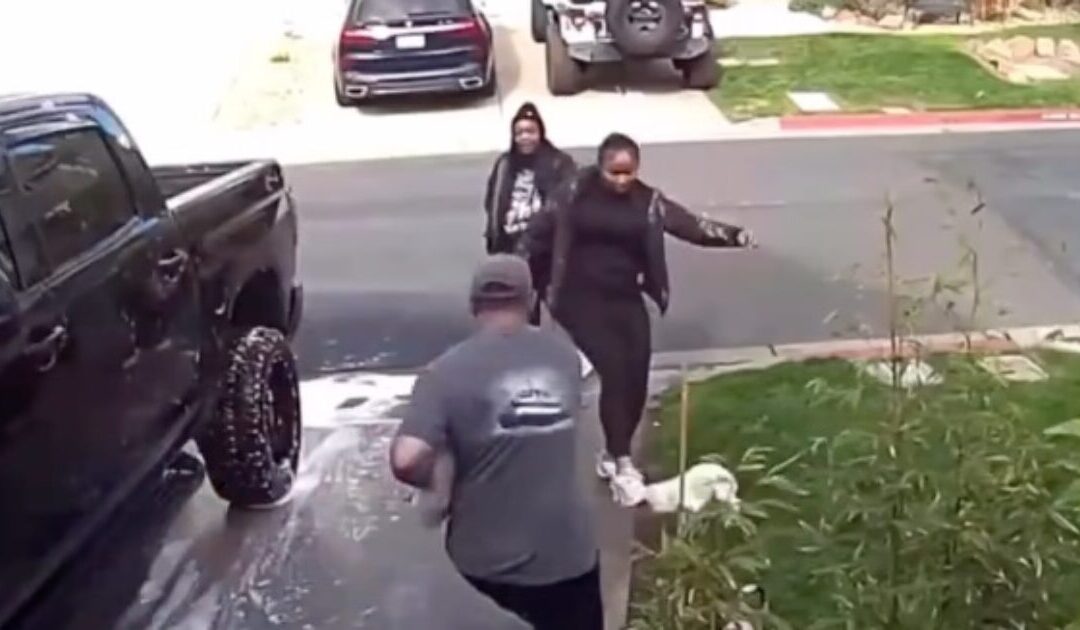 Two California Women Arrested in Connection to Dog-Kicking Incident That Went Viral (VIDEO)