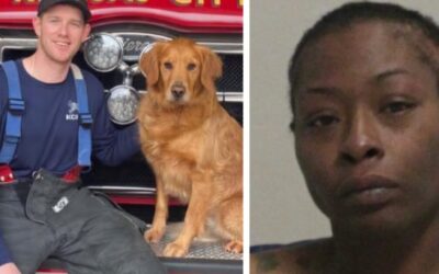 HORROR: Kansas City Firefighter-Paramedic Fatally Stabbed by Woman Inside Ambulance While Attempting to Help Her