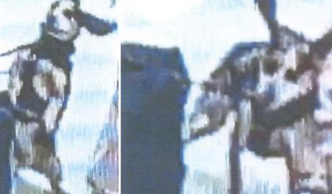 “Kick Around and Find Out”: Egyptian Man Deported After Kicking CBP Airport Dog into the Air for Sniffing Contraband in His Luggage