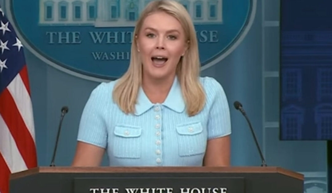 WATCH: Trump to Visit New Alligator Alcatraz Alien Detention Facility “Surrounded by Dangerous Wildlife and Unforgiving Terrain” TOMORROW – “There is Only One Road Leading in. The Only Way Out is a One Way Flight.”