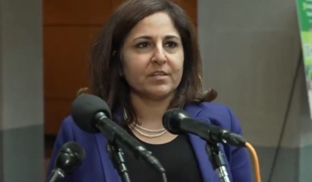 BREAKING: Ex-Biden Aide Neera Tanden Admits Under Oath to House Oversight Committee That She Controlled Joe Biden’s Autopen