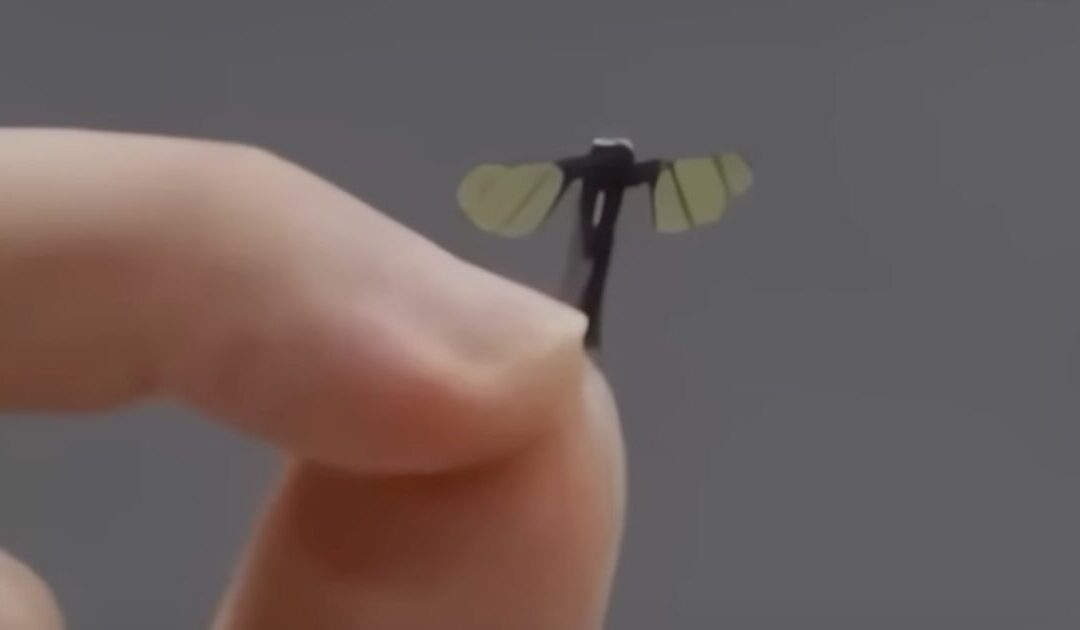 SCARY: China Unveils New Mosquito Drone for Covert Military Operations
