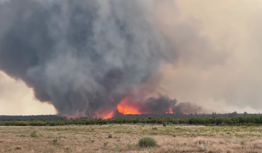 Watch: Rare ‘Firenado’ Captured on Video as it Cuts a Swath of Destruction